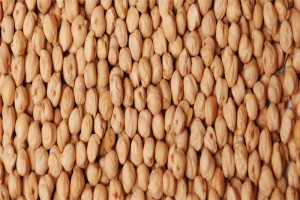 Chickpeas 42/44 Oz from India